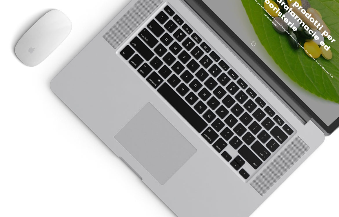 mockup-efas-03