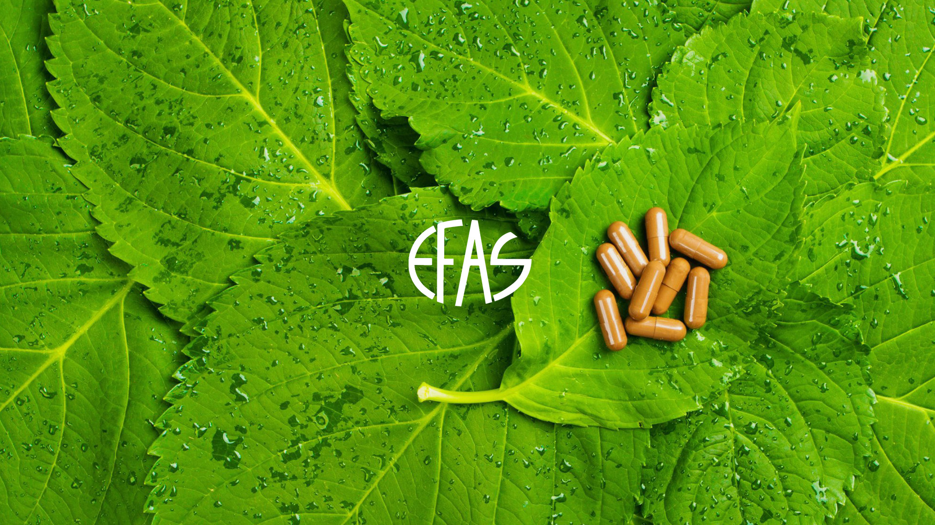 copertina-efas