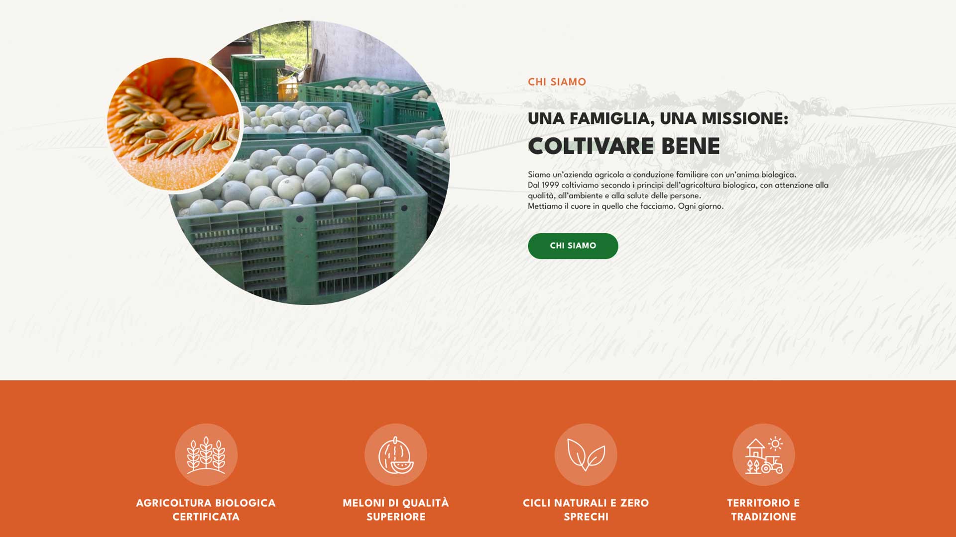 food-marketing-sito-web-story-telling food-marketing-sito-web-story-telling