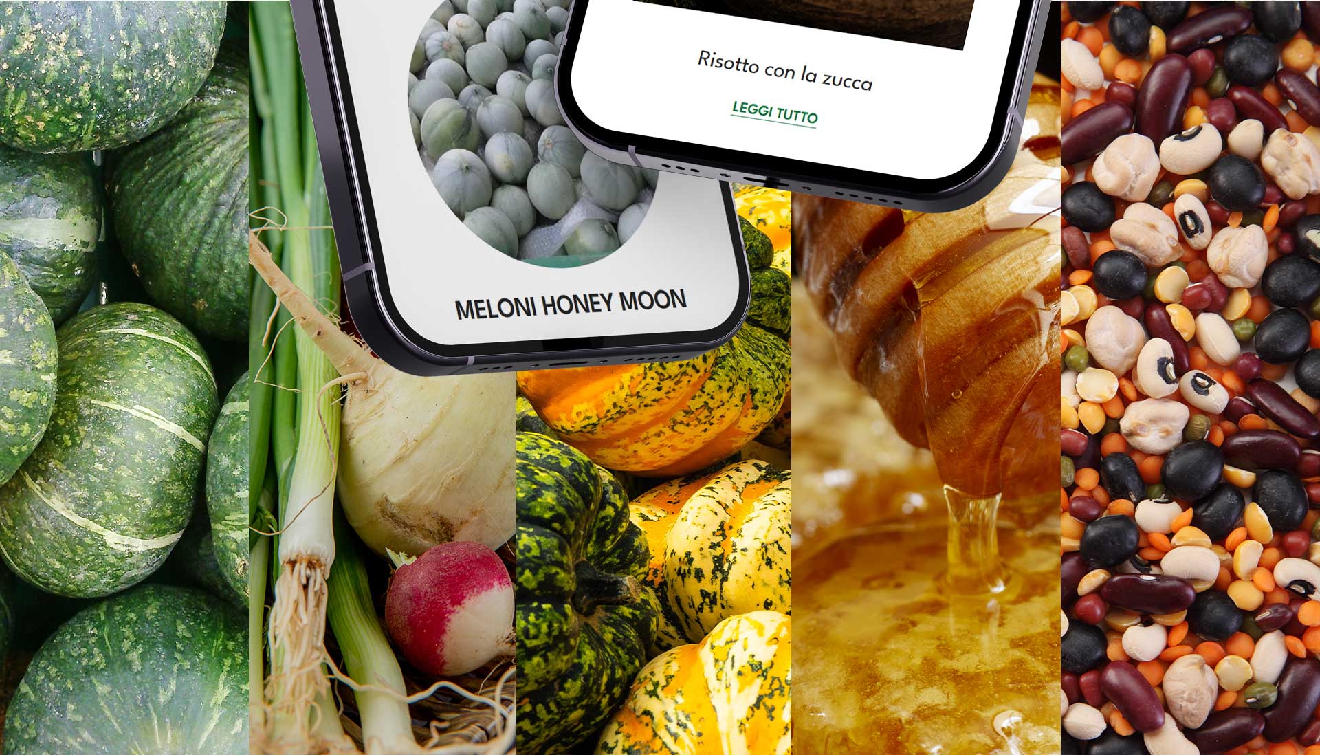food-marketing-realizzazione-sito-web-agenzia-sviluppo-siti food-marketing-realizzazione-sito-web-agenzia-sviluppo-siti